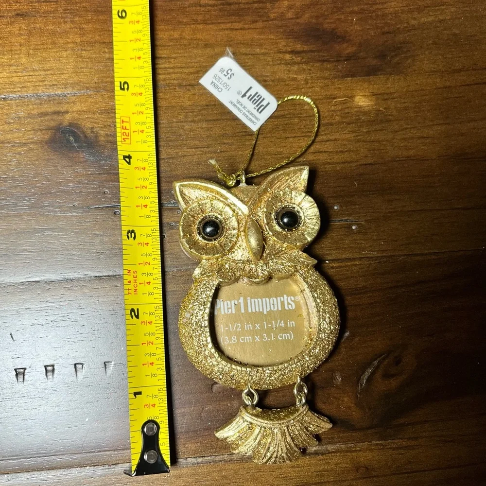 Pier 1 Imports Gold Owl Ornament Picture Frame